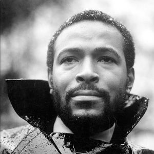 Meet your Posher, Ernesto